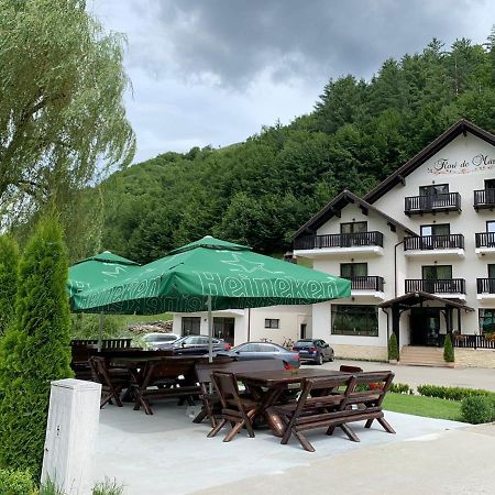 Hotel Flori De Mar Poiana Mărului Exterior foto